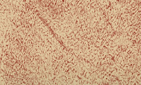 Terracotta